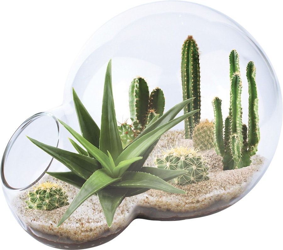 Desert Oasis Double Bubble Terrarium - Fat Brain Toys