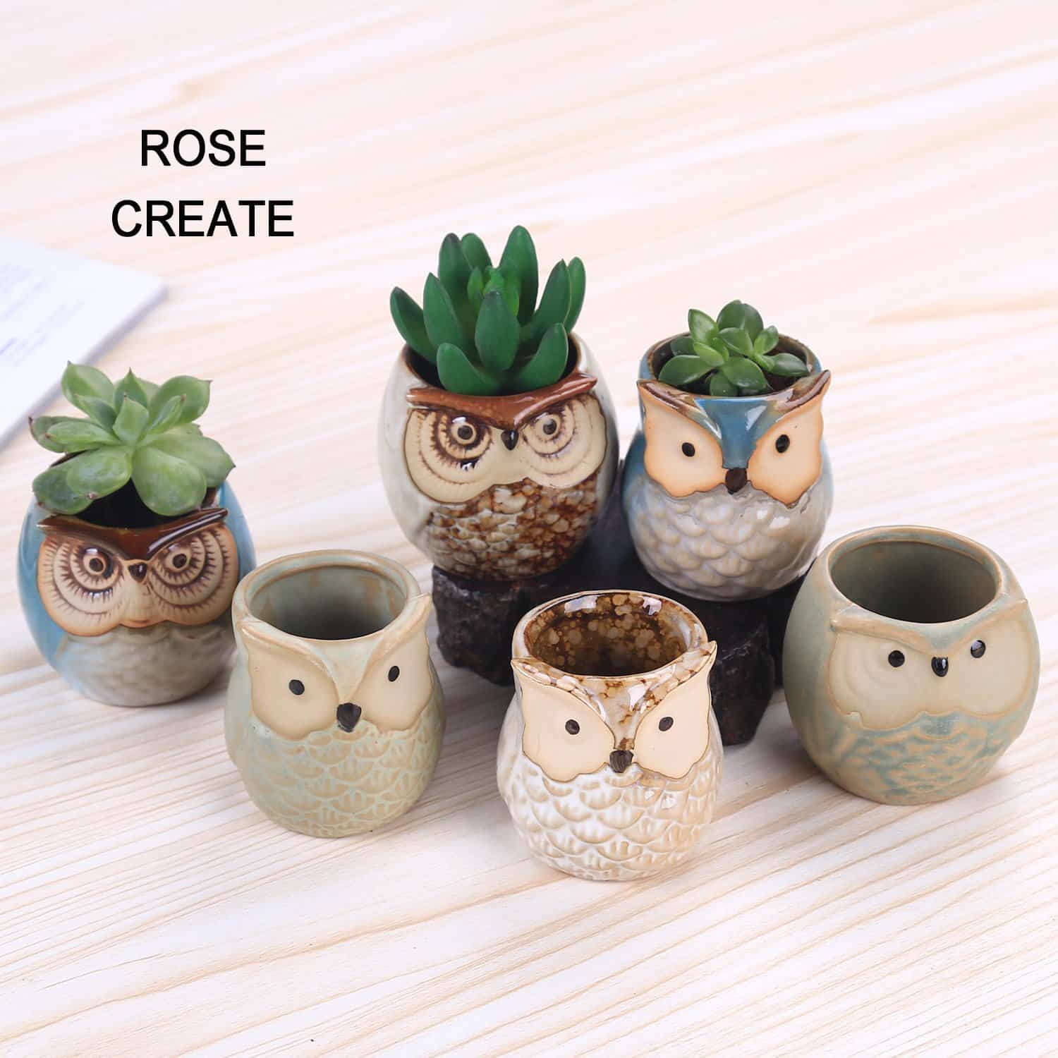 Rose Create Ceramic Owl Pots